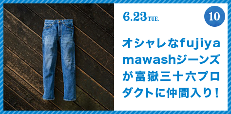 FUJISAN activities Summer 2015