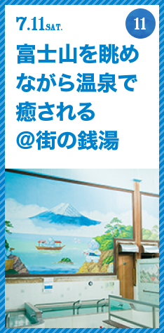 FUJISAN activities Summer 2015