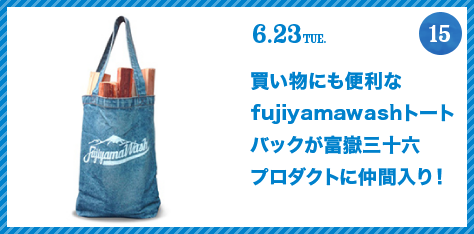 FUJISAN activities Summer 2015