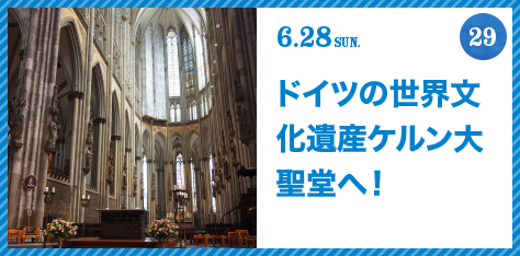FUJISAN activities Summer 2015