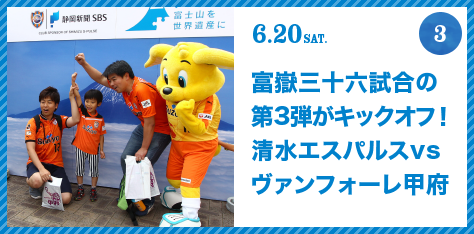 FUJISAN activities Summer 2015