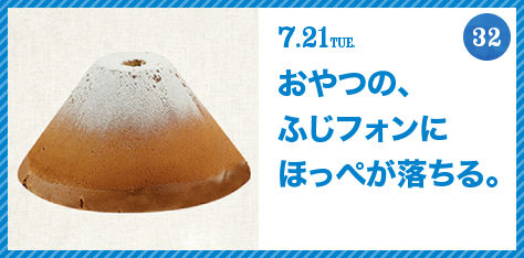 FUJISAN activities Summer 2015