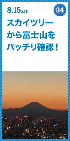FUJISAN activities Summer 2015