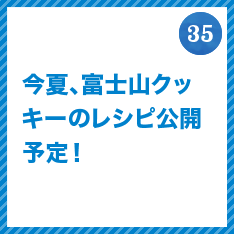 FUJISAN activities Summer 2015
